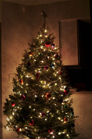 DSCF0021